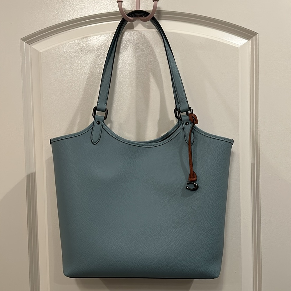 Coach Pebble Leather Day Tote in Sage